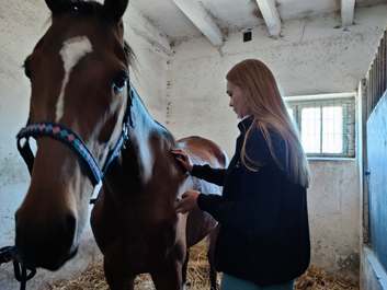 zajęcia praktyczne z masażu koni